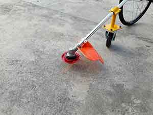 แบบเส้นเอ็น