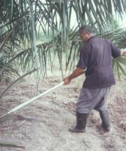 เสียมตัดปาล์มน้ำมันระบบสปริง