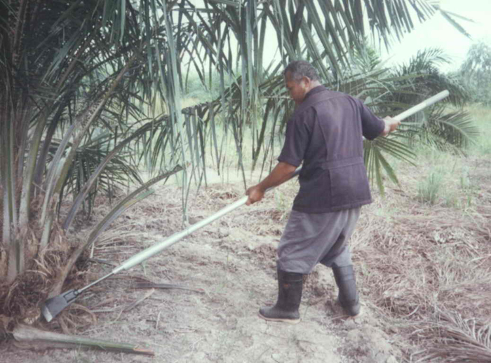 เสียมตัดปาล์มน้ำมันระบบสปริง