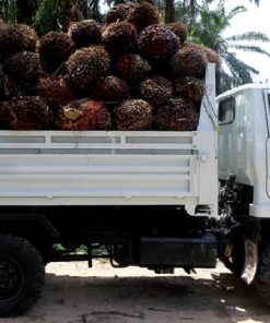 Alternative view of รถกระเช้าไฟฟ้าเครน 4 ล้อดั้มพ์ยกสูงไม่น้อยกว่า9 เมตรเครื่องยนต์ดีเซลไม่น้อยกว่า 100 แรงม้า รุ่น MPD424