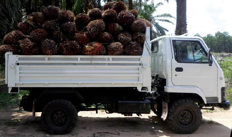 รถกระเช้าไฟฟ้าเครน 4 ล้อดั้มพ์ยกสูงไม่น้อยกว่า9 เมตรเครื่องยนต์ดีเซลไม่น้อยกว่า 100 แรงม้า รุ่น MPD424 - Image 2