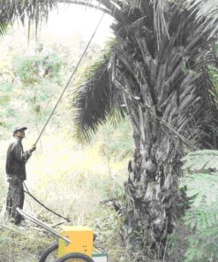 Alternative view of กรรไกรตัดกิ่งปาล์มระบบไฮดรอลิค