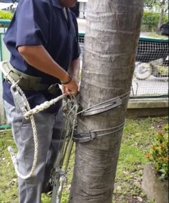 เครื่องปีนต้นมะพร้าว